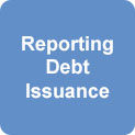 Reporting Debt Issuance
