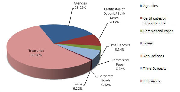 Pie chart showing PMIA portfolio composition