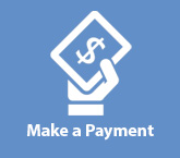 Online Payment