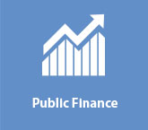 Public Finance