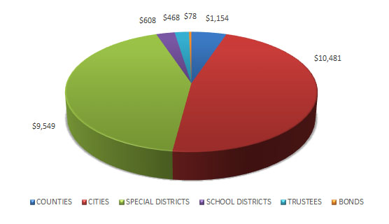 Pie chart showing LAIF Balance by Type